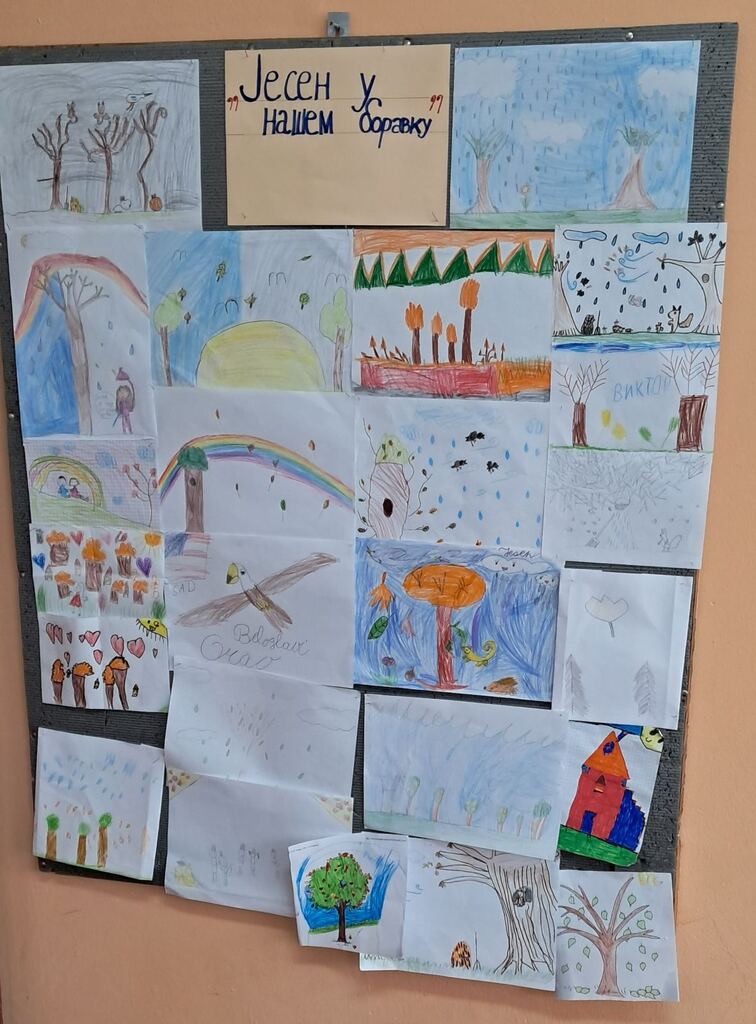 IMG 73ef4b407b98a4ac52950cd4bbd55a7f V (1)